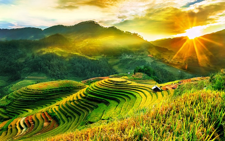 HÀ NỘI – MÙ CANG CHẢI – TRẠM TẤU – CU VAI – HÀ NỘI