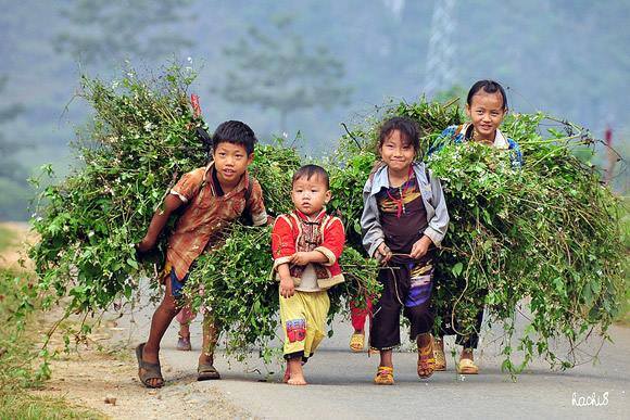 HÀ NỘI - HÀ GIANG - YÊN MINH - ĐỒNG VĂN - HÀ NỘI