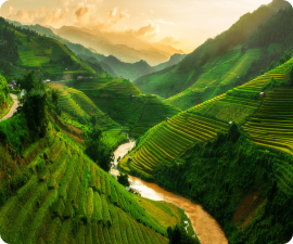 Việt nam